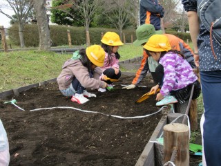blog_161125-7
