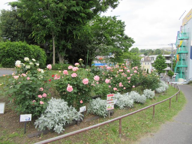 blog_170519-1