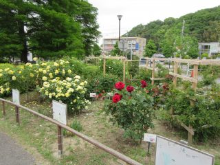 blog_170519-2