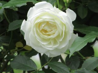 blog_170519-6