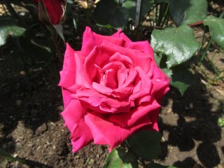 blog_170519-9