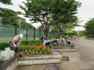 blog_170621-1