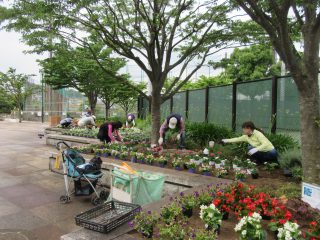 blog_170621-3
