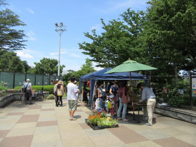 blog_170723-2