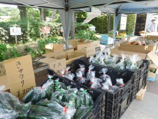 blog_170723-7