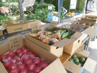 blog_170723-8