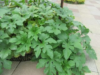 blog_170803-2