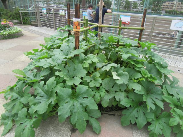 blog_170803-3