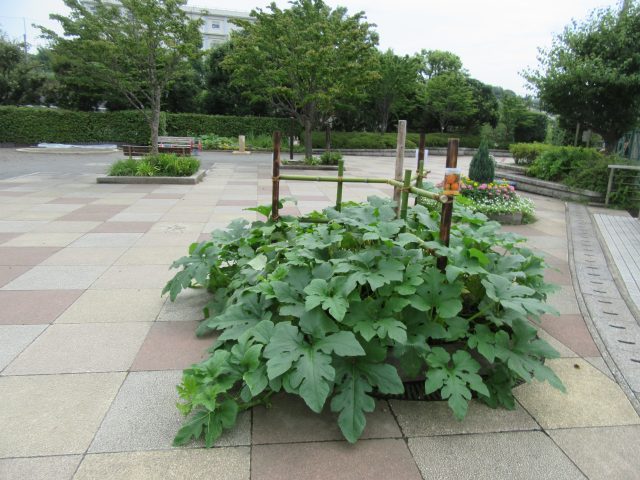blog_170803-5