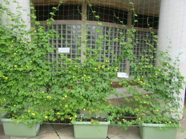 blog_170803-6