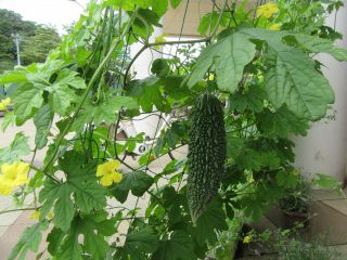 blog_170803-7