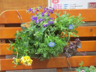 blog_180329-7