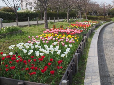 blog_180404-3