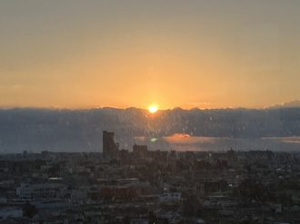 公園だより最新投稿写真