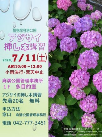 主催イベント:あじさい挿し木講習【7月11日(土)】の画像