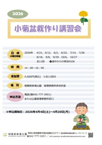 主催イベント：小菊盆栽作り講習会の画像