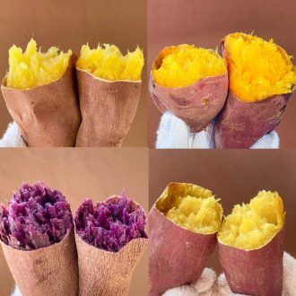 主催イベント:さがみはらやきいもマルシエ【2月22日(日曜日)、2月23日(月曜日・祝日)】の画像