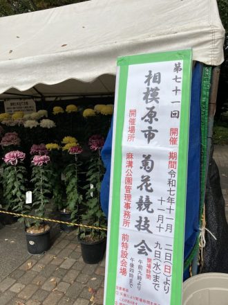 公園だより最新投稿写真