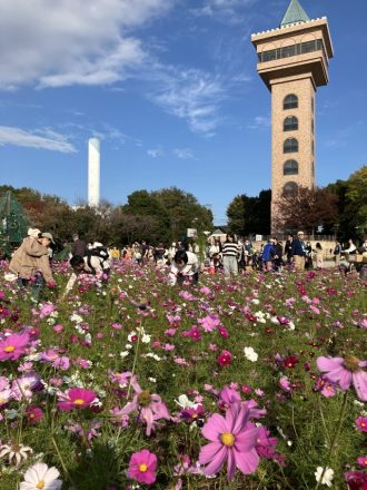 公園だより最新投稿写真