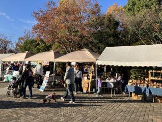 公園だより最新投稿写真