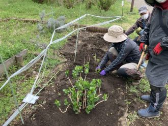 公園だより最新投稿写真
