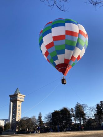 公園だより最新投稿写真