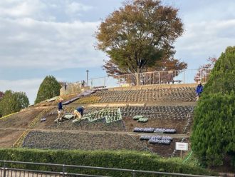 公園だより最新投稿写真