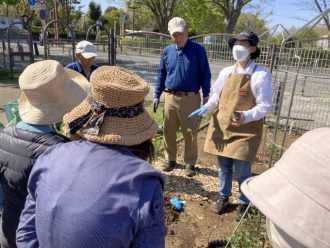 公園だより最新投稿写真