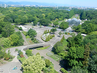 公園の写真