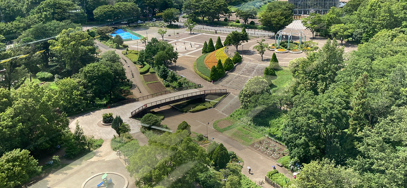 公園の写真1
