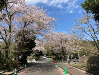 公園だより最新投稿写真
