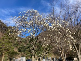 公園だより最新投稿写真