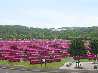 公園墓地の写真