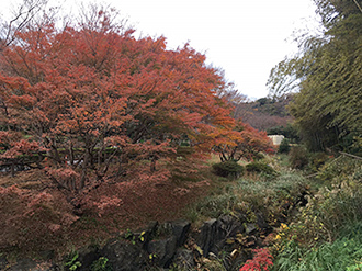 公園墓地の写真