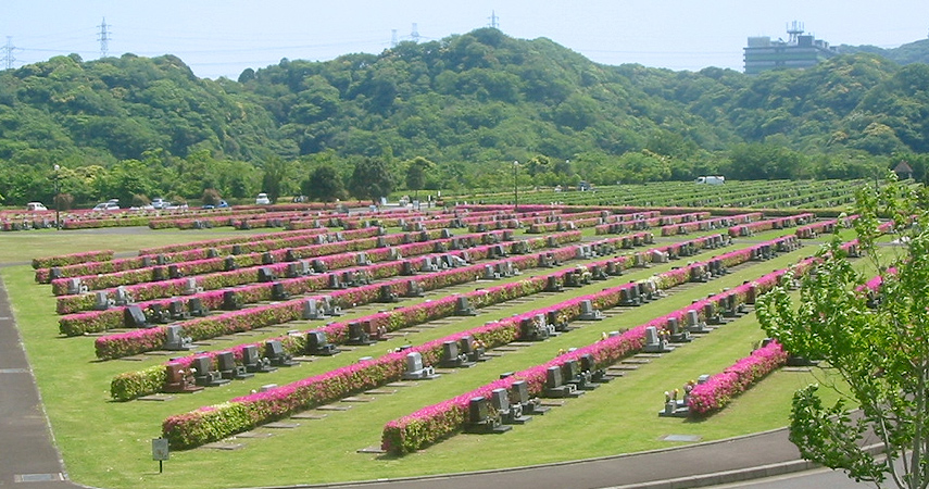 公園墓地の写真3