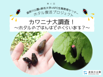 主催イベント：第4回ホタル復活プロジェクトの画像