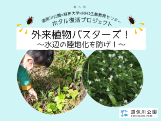 主催イベント：第6回 ホタル復活プロジェクトの画像