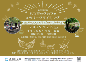 主催イベント：ハンモックカフェ☕ ＆ ツリークライミング🌳の画像