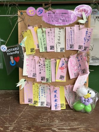 公園だより最新投稿写真
