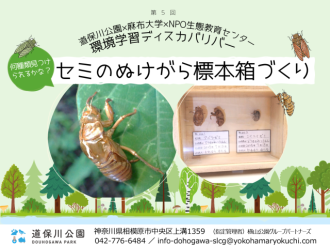 公園だより最新投稿写真