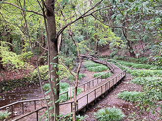 公園の写真