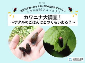 主催イベント:第7回ホタル復活プロジェクトの画像