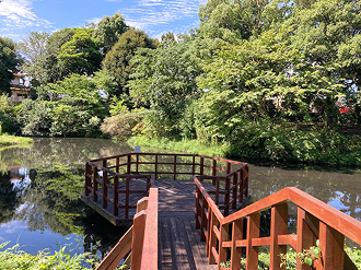 水鳥の池の写真