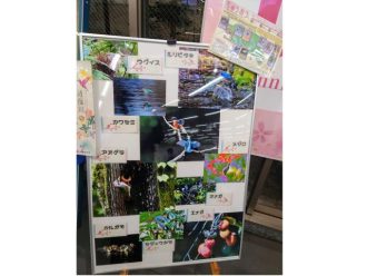 公園だより最新投稿写真