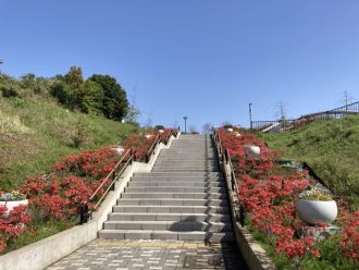 公園だより最新投稿写真
