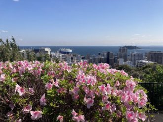 公園だより最新投稿写真