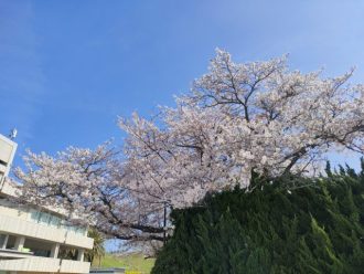 公園だより最新投稿写真
