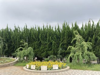 公園だより最新投稿写真