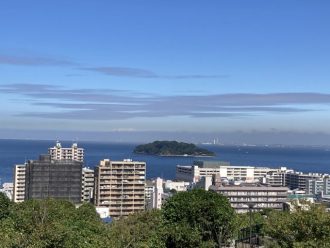 公園だより最新投稿写真