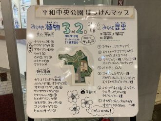 公園だより最新投稿写真